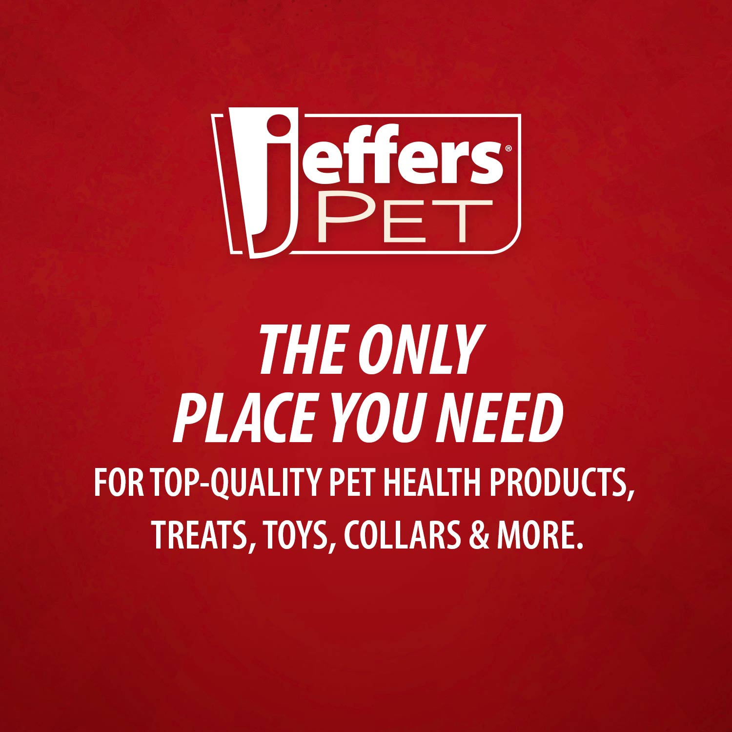 Jeffers Cactus Natural Rubber Dental Chew Toy for Dogs for Healthy Chewing Habits