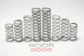 Shock Therapy (DRS) Dual Rate Spring Kit for Polaris RZR Turbo S