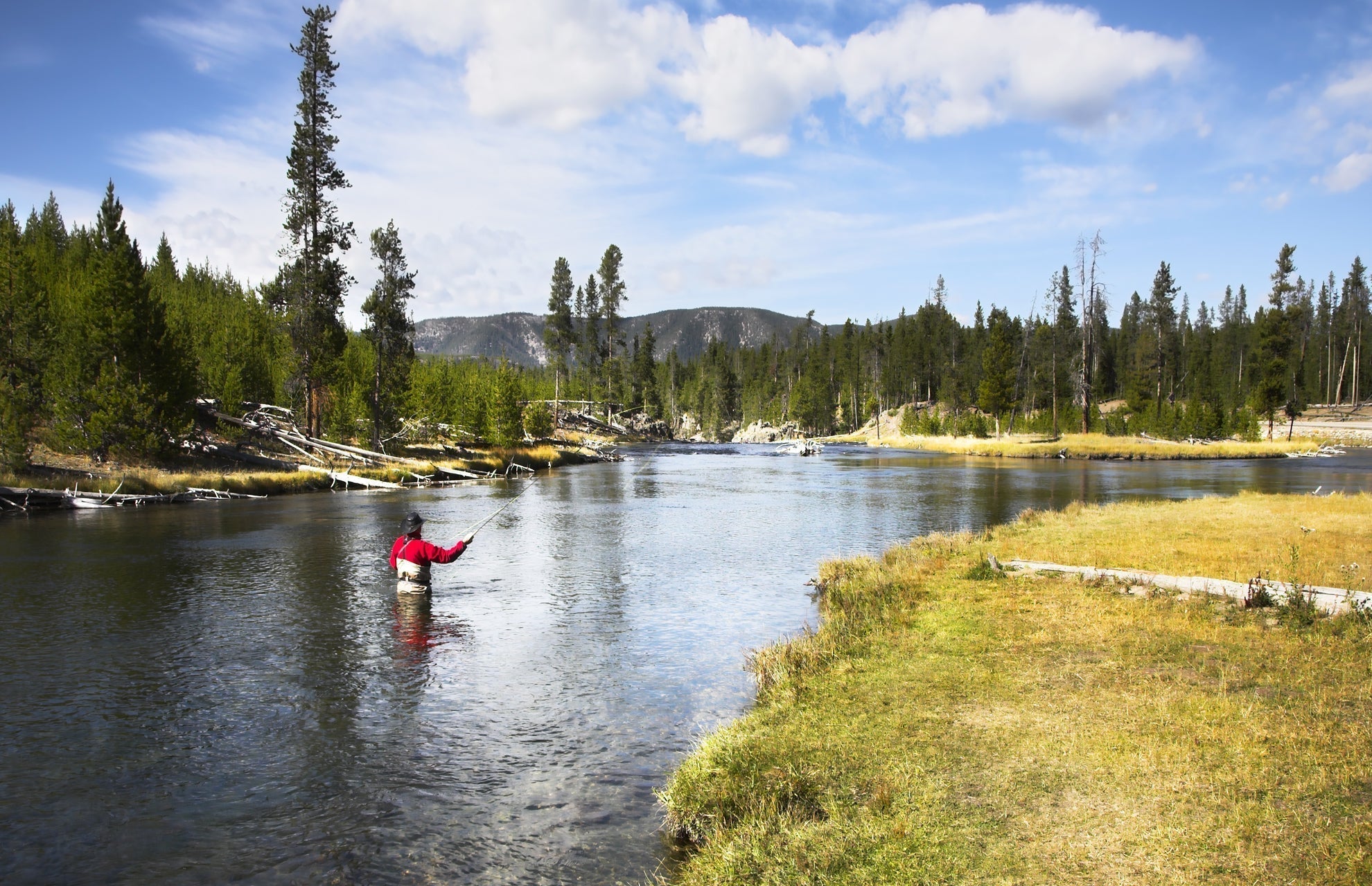 Royal Wulff Cripple Mayfly - Caddis Emerger - 1 Dozen Flies Hook Size 20