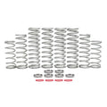Shock Therapy Dual Rate Spring Kit (DRS) for Polaris RZR Pro XP