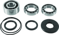 QuadBoss, QuadBoss 2017 Polaris RZR XP 4 1000 EPS Differential Bearing & Seal Kit (Part #412647)