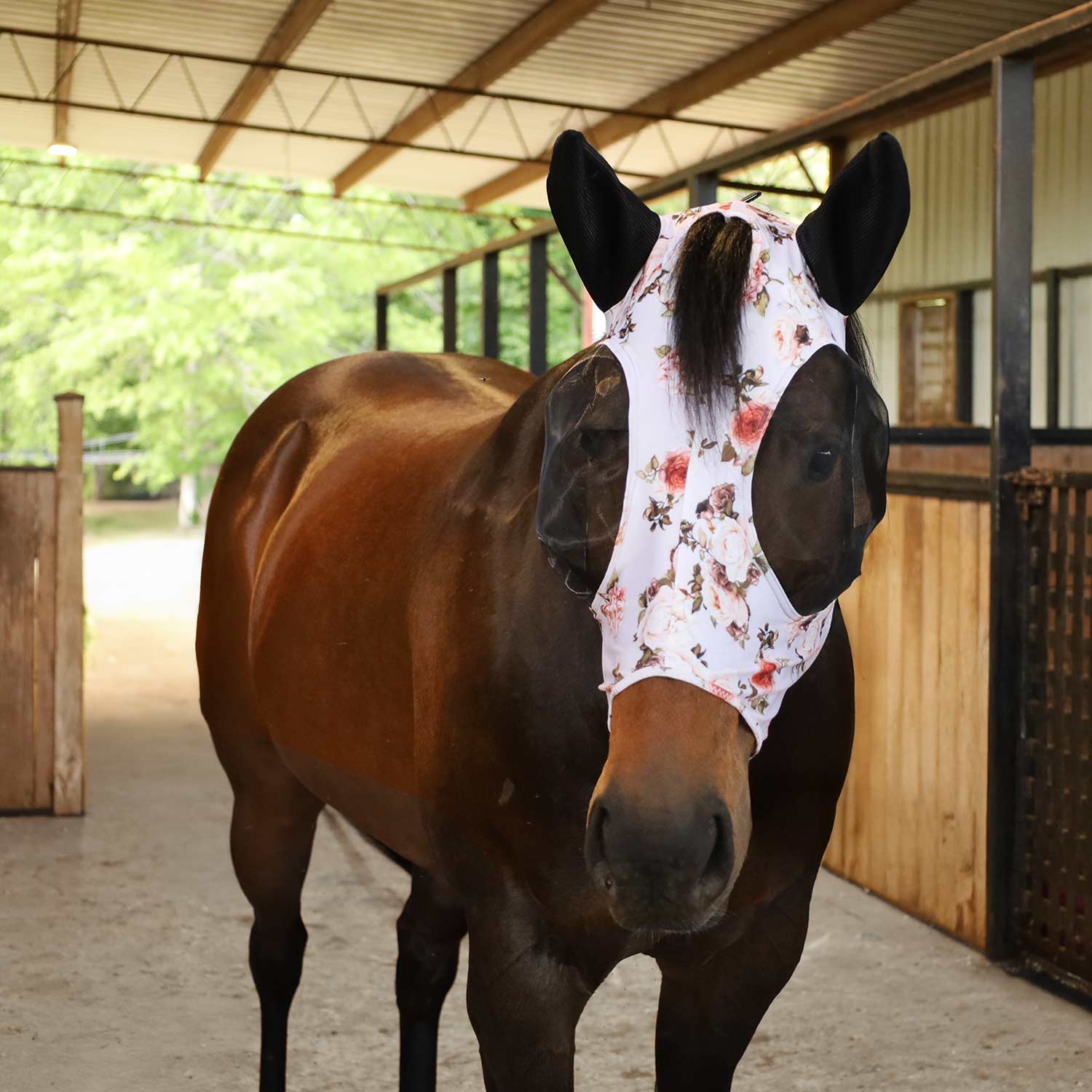 Pre-Sale Jeffers Expression Lycra Horse Fly Mask with Ears