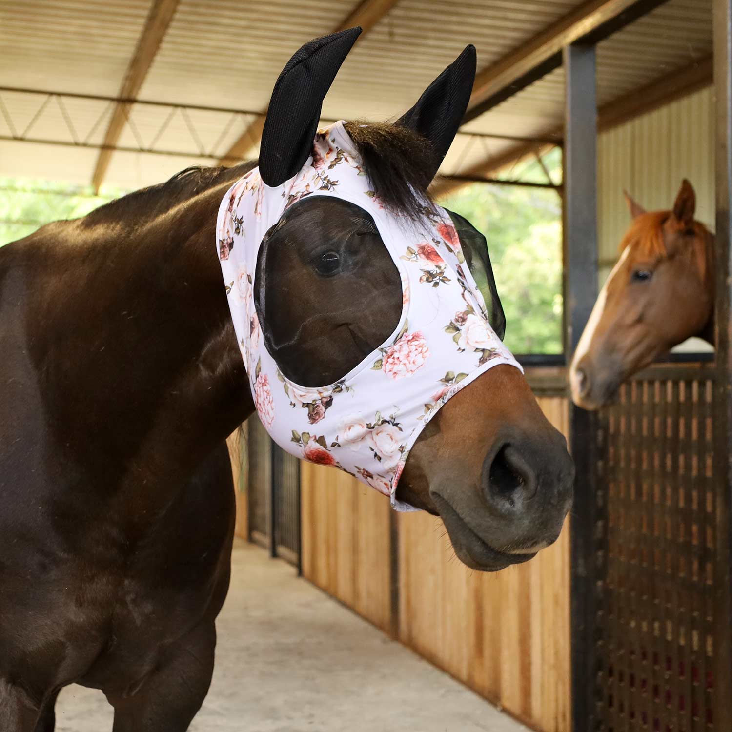 Pre-Sale Jeffers Expression Lycra Horse Fly Mask with Ears