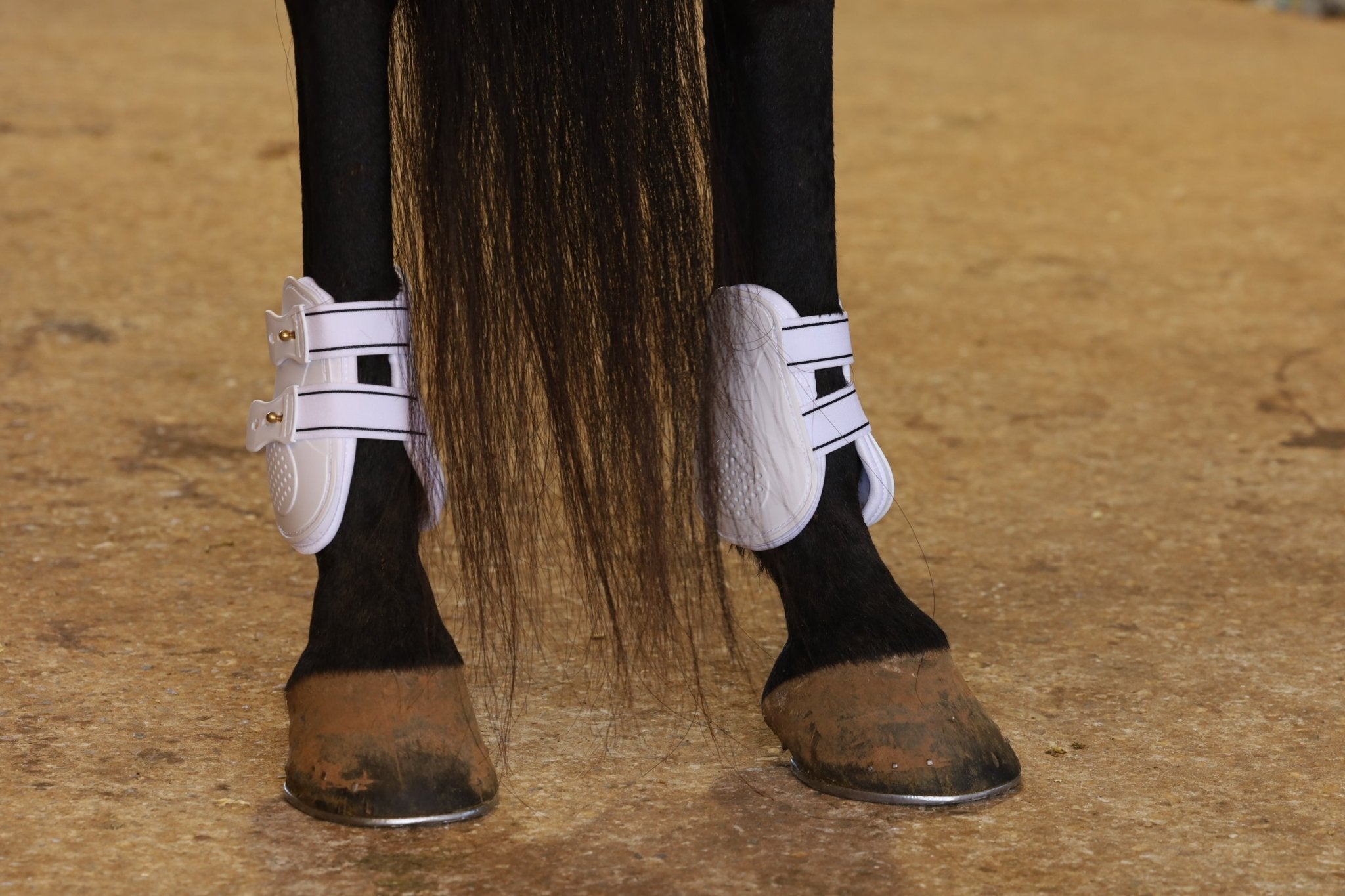 Jeffers Uniquely English Fetlock Boots for Horses, 2-Pack