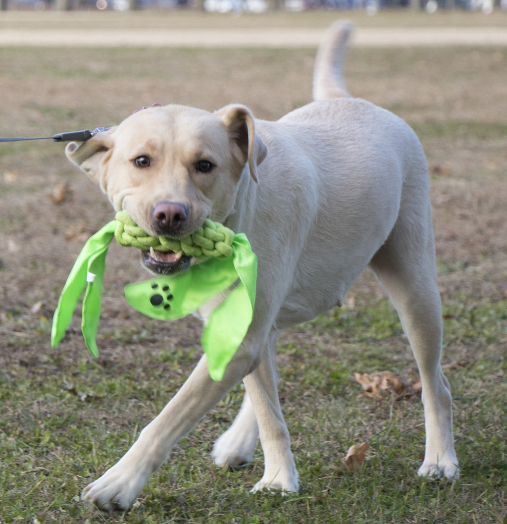 Pet Life ® 'Extreme Twist' Sporty Tugging Jute and Squeak Dog Toy