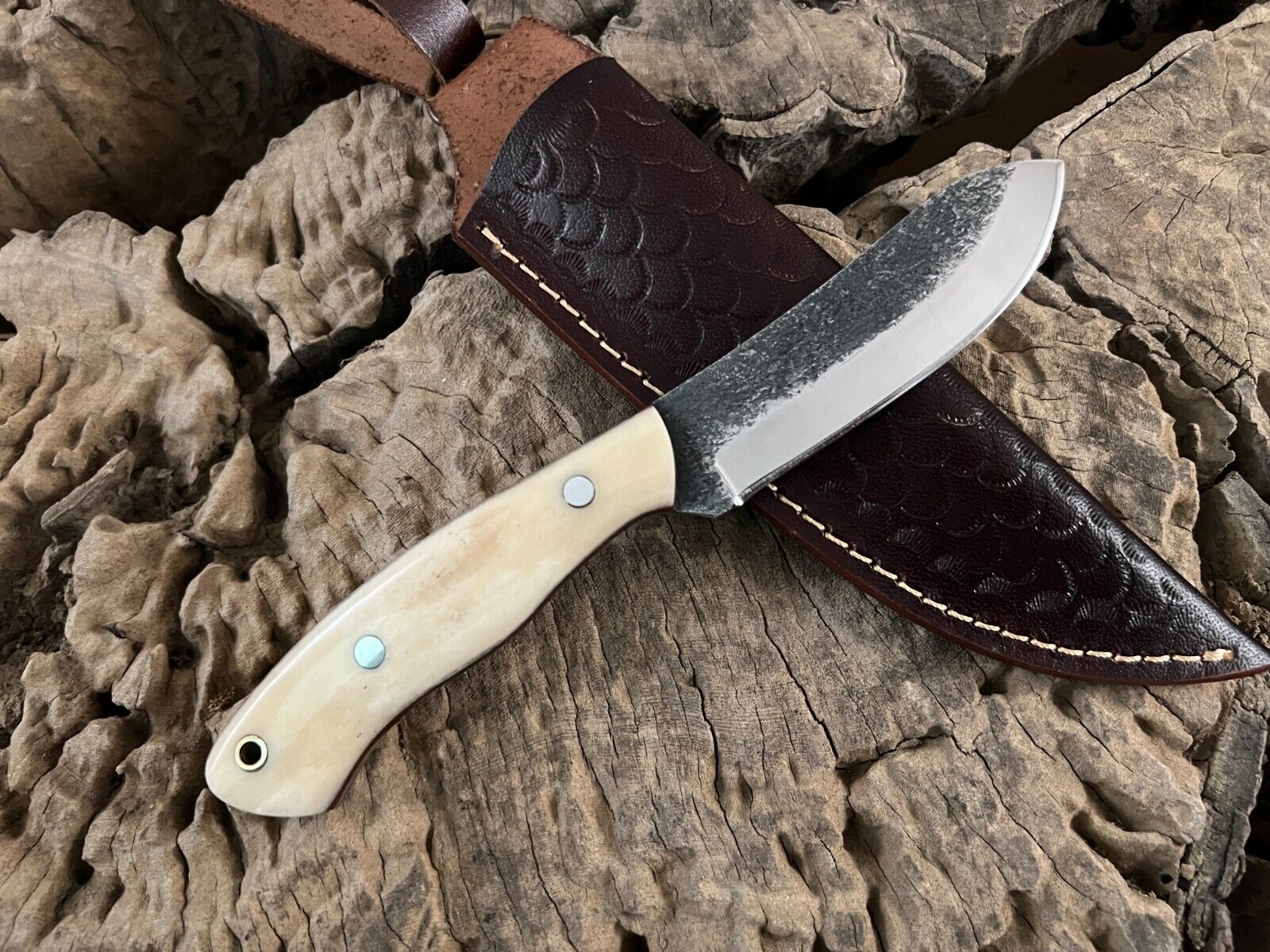 WildEdge High-Carbon Steel Bushcraft Knife – 8-Inch Survival Blade with Bone Handle