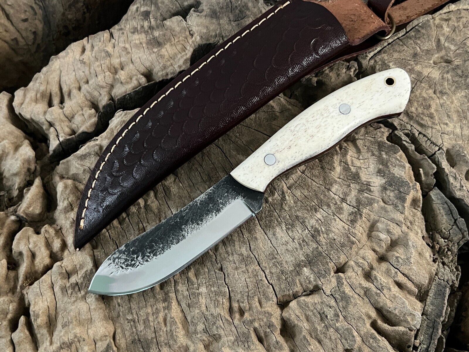 WildEdge High-Carbon Steel Bushcraft Knife – 8-Inch Survival Blade with Bone Handle