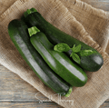 Dark Green Zucchini Summer Squash – 25 Seeds