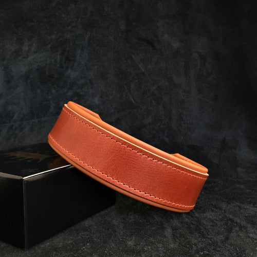 "Stylish" 2 inch wide dog collar