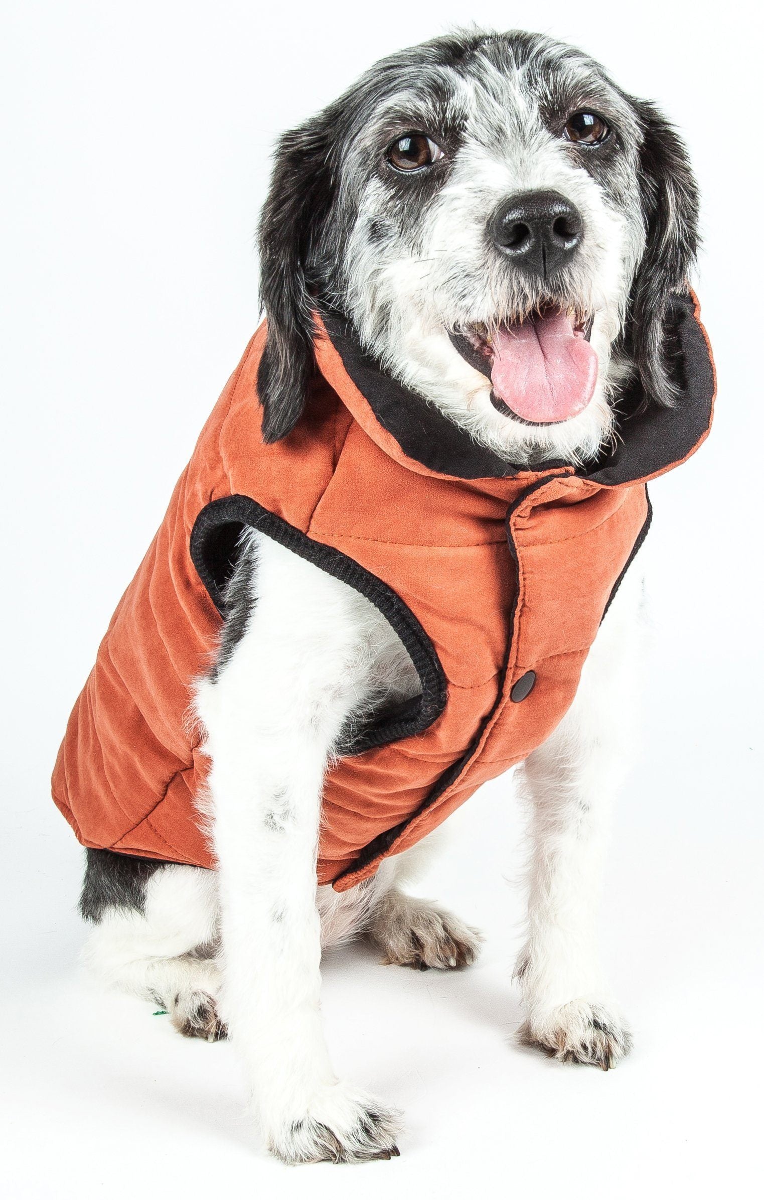 Touchdog ® Waggin Swag Ultra-Plush Insulated and Reversible Dog Coat